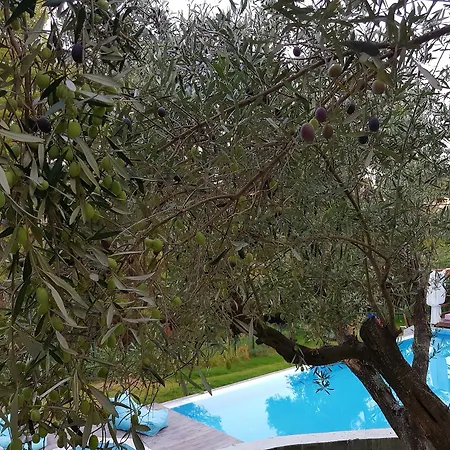 Διαμέρισμα Avatel Eco *