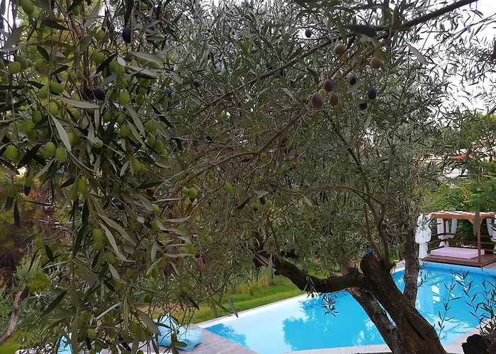 Apartamento Avatel Eco *