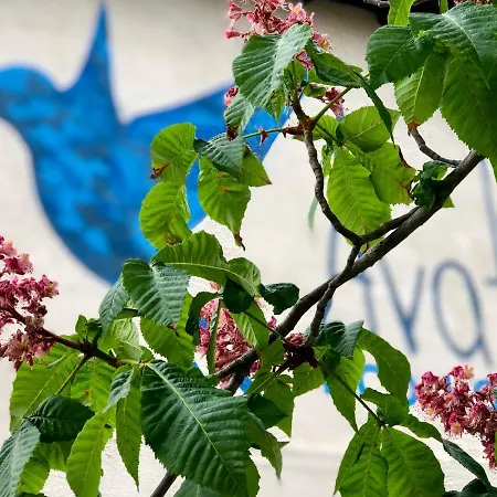 Lägenhet Avatel Eco *