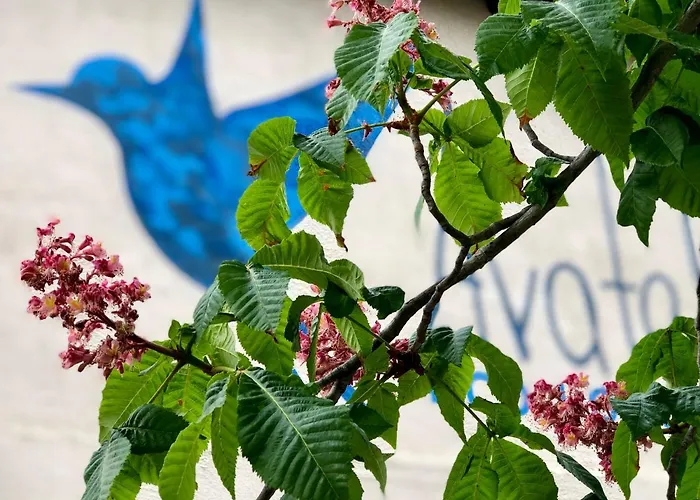 Apartment Avatel Eco *